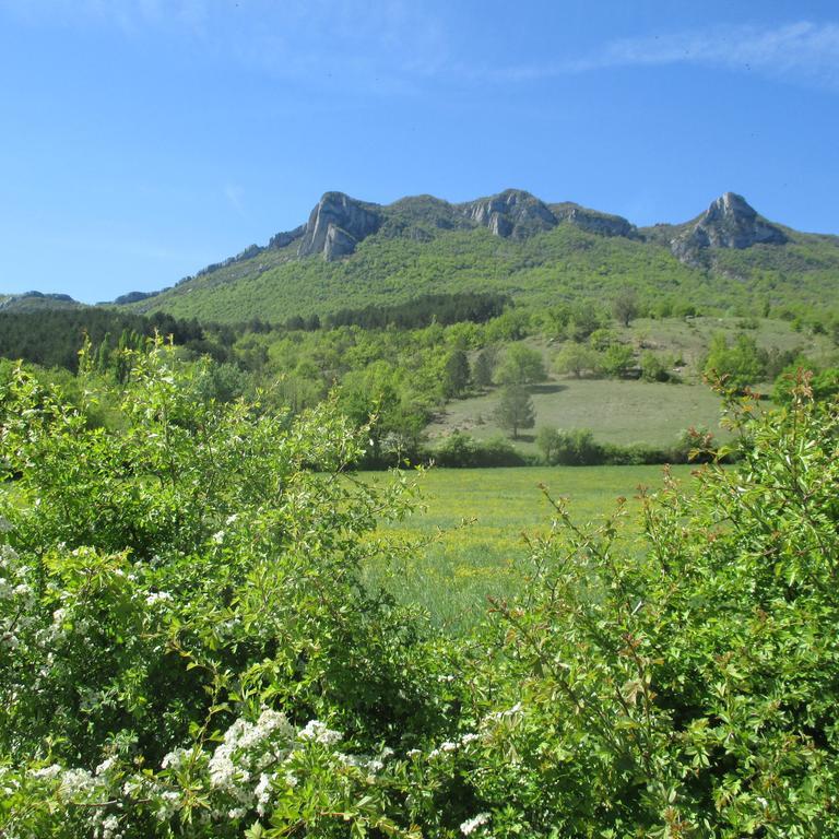 Appartement Entre Sisteron Et Gorges De La Meouge " Les Hauts De Toscane " Ribiers Екстер'єр фото